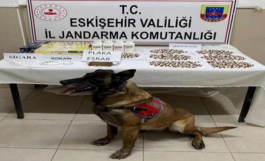 Belçika’dan gelen uyuşturucuyu Afyonkarahisar’a götüren zehir tacirleri Eskişehir’de yakalandı